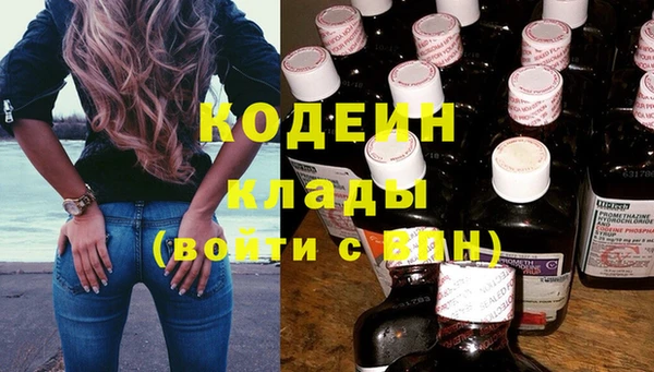 крисы Майский