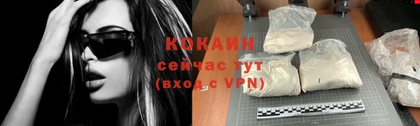 крисы Майский