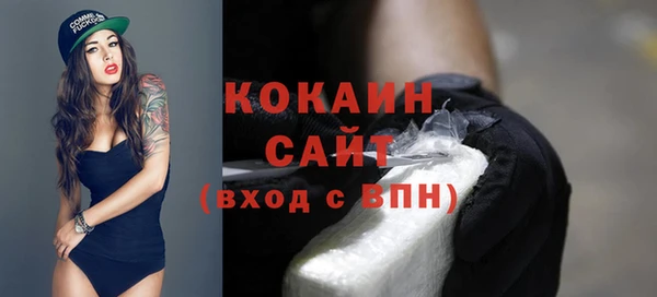 дживик Мегион