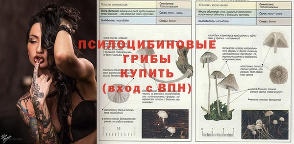 крисы Майский