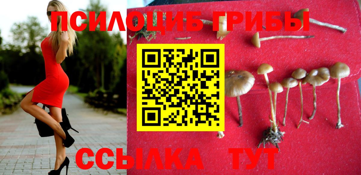 Галлюциногенные грибы мицелий Нижнекамск
