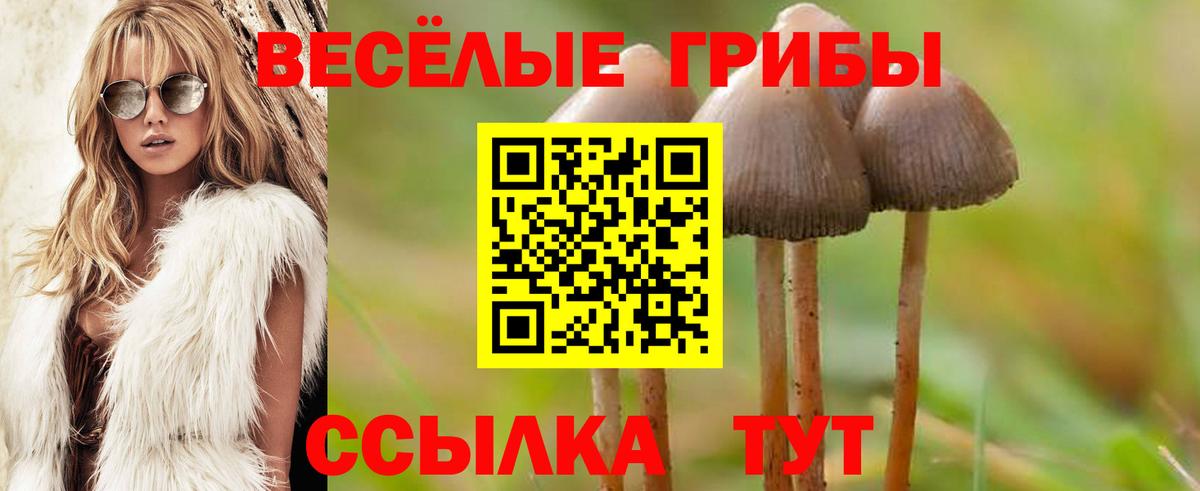 Нижнекамск  Псилоцибиновые грибы прущие грибы  Псилоцибиновые грибы мухоморы  цены   Вход с VPN 